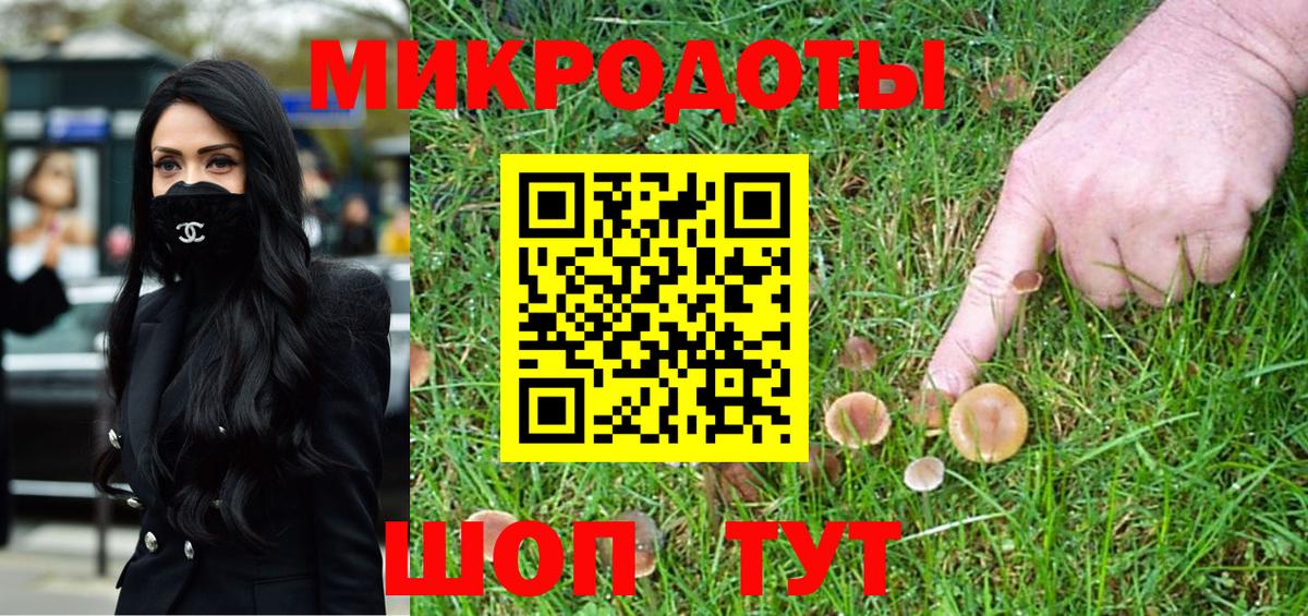 Грязи  Псилоцибиновые грибы GOLDEN TEACHER  Вход с VPN 